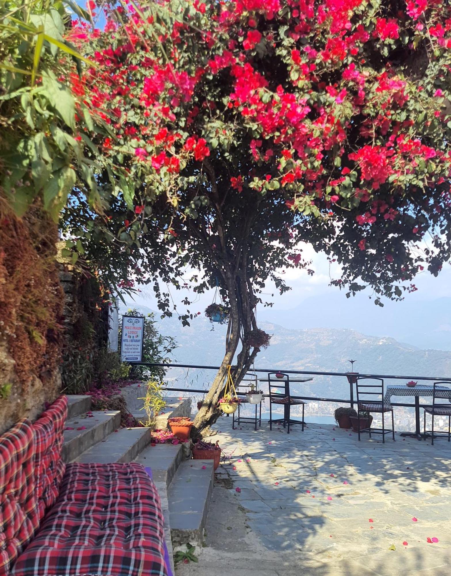 Peace Dragon Lodge Pokhara Dış mekan fotoğraf