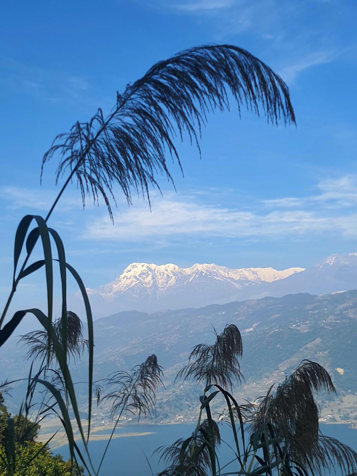 Peace Dragon Lodge Pokhara Dış mekan fotoğraf