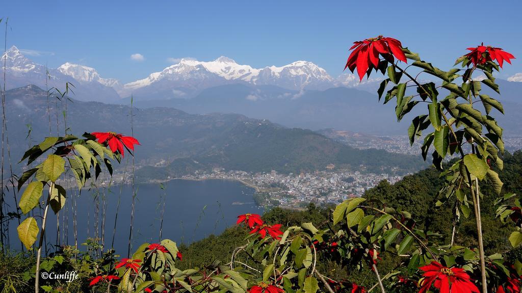 Peace Dragon Lodge Pokhara Dış mekan fotoğraf