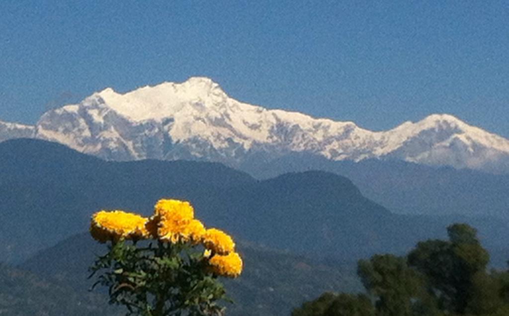 Peace Dragon Lodge Pokhara Dış mekan fotoğraf